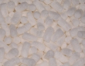 LOOSEFILL BIO-FOAM